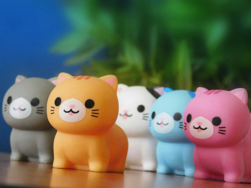 What Is a Pocket Zoo?