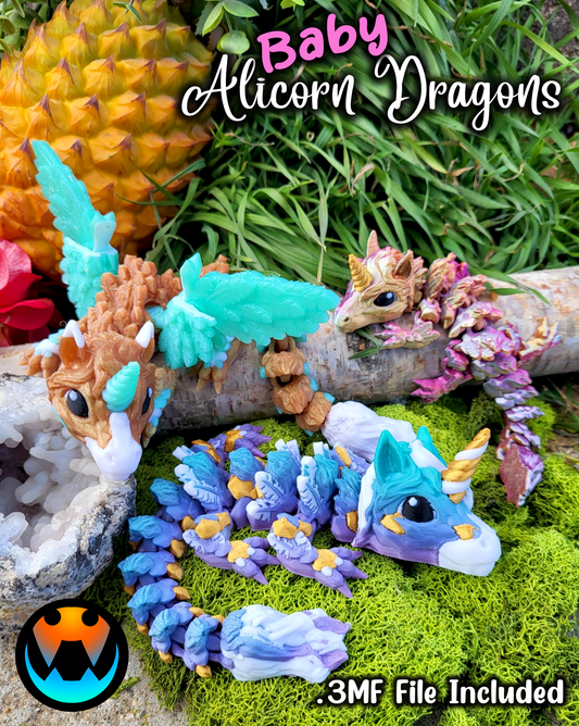 Alicorn Dragon Tadling