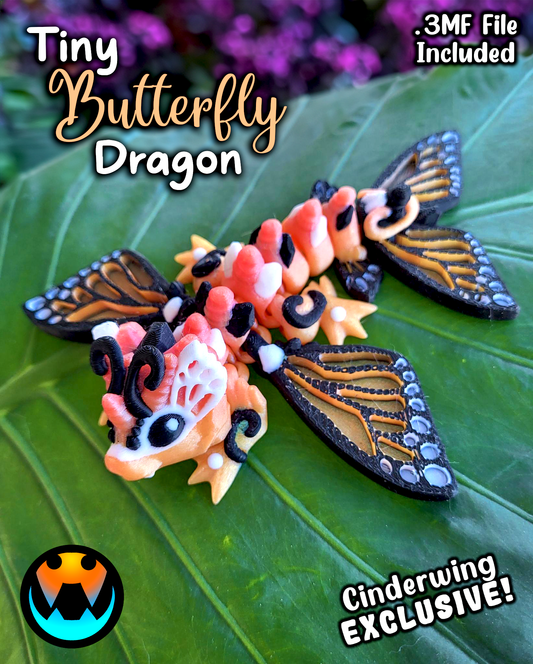 Butterfly Dragon Tadling